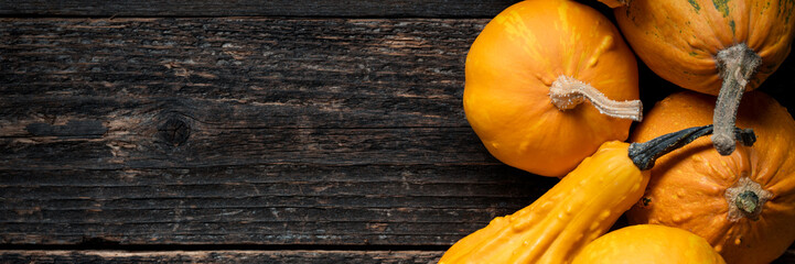 Happy Thanksgiving Banner. Selection of various pumpkins on dark wooden background. Autumn...