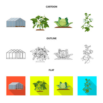 Vector design of greenhouse and plant sign. Set of greenhouse and garden vector icon for stock.
