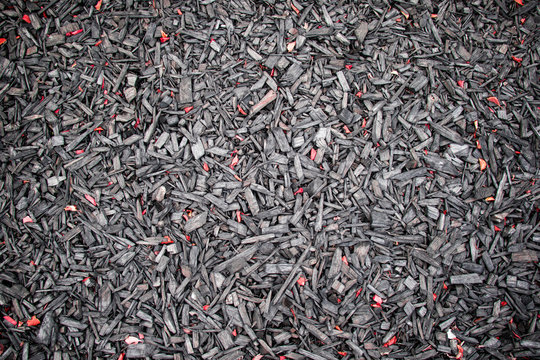 Black scobs with pink
