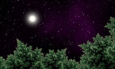 Fototapeta na wymiar Night sky over pine forest with full moon