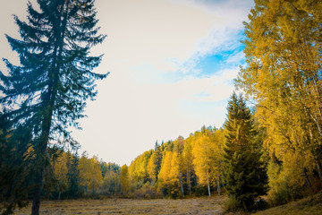 tourism in small Karelians near Arkhangelsk