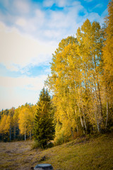 Naklejka premium tourism in small Karelians near Arkhangelsk