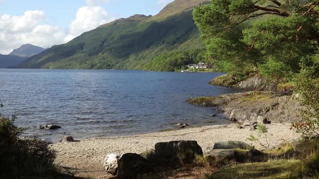 View of the shore of Loch Lomond at Rowardennan, Scotland UK
