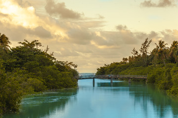 Obraz premium landscape with river and orange sky