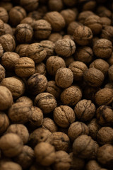 a lot of walnuts close-up