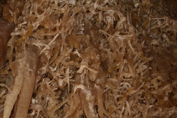 scenery from the inside of an underground cave