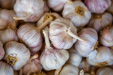 pile of garlic view from the top