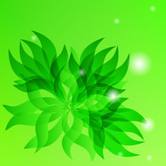 Vector floral abstract background with flower and green leaf