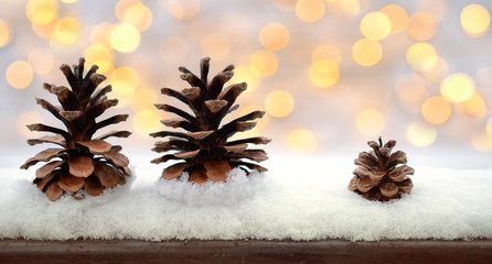 Kiefernzapfen © sunnychicka