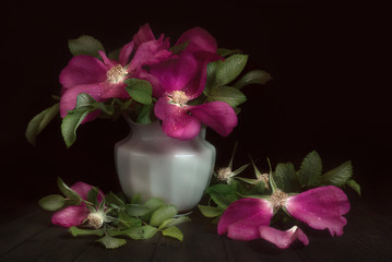 Still life with a dog rose on a dark background.