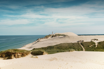 Landscape nature sand dunes with grass and sand texture in summer and bright light. Rubjerg Knude...