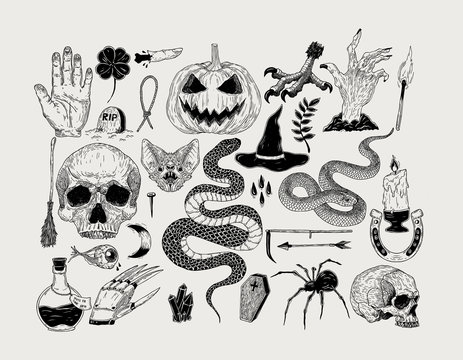 Vector vintage hand drawn Halloween graphics. Pumpkin, skull, witch, snake, candle, bat, spider,poison, spell, grave.
