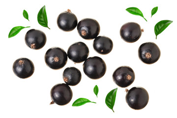 black currant isolated on white background. Top view. Flat lay pattern