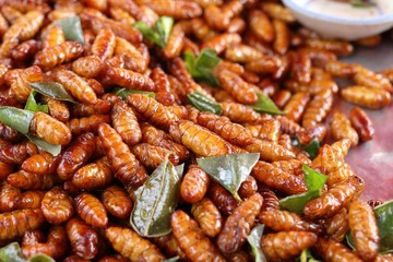 Fried insect at street food