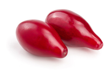 Red berries of cornel or dogwood isolated on white background