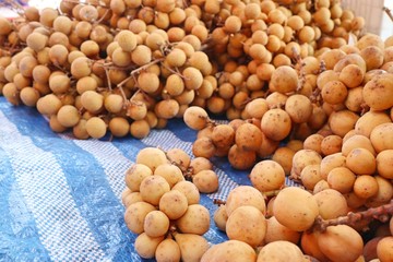 Wollongong fruit at market