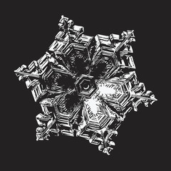 White snowflake on black background. This vector illustration based on macro photo of real snow crystal: complex star plate with six short, ornate arms, glossy surface and elegant inner details.