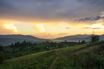 Fototapeta na wymiar Sunset in the forest and mountains in the Ukrainian Carpathians