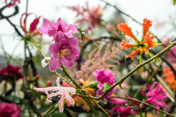 Outdoor autumn floral decoration