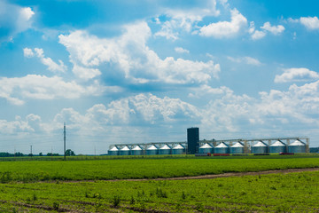 Fototapeta na wymiar Grain elevator in a green field. The blue cloudy sky. Agricultural business. Trucks go to the loading. Spring. Young green plants. Harvest. Cereal storage.