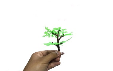 tree in hand isolated on white background