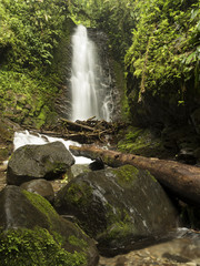 Ecuador, waterfall in the jungle