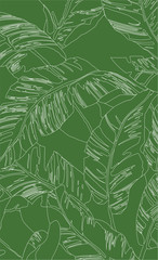 Fototapeta premium White lines pattern banana tree and leaves that it is a tropical plant on green background, flat line vector and illustration.
