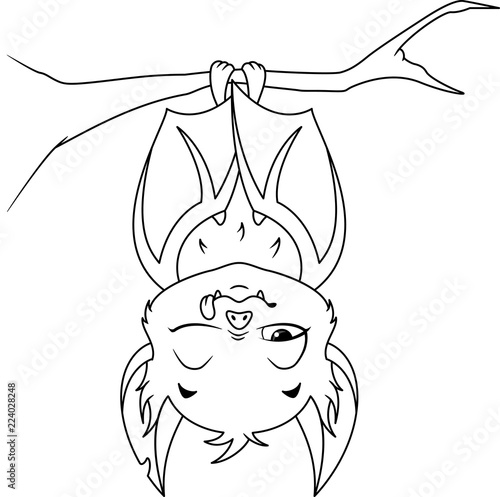 "sleeping bat coloring page" stock image and royaltyfree
