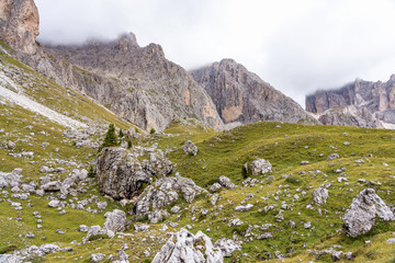 Fototapeta na wymiar Italien - Südtirol - Col Raiser Rundwanderweg