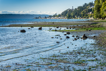 Shoreline And Point 2