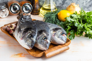Three are ready to cook raw dorado fish on a wooden tray with herbs, lemon, onions, garlic, spices and olive oil on a gray textured background