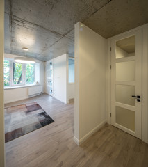 Entrance hall and corridor in a modern apartment. Entrance hall and entrance door to studio apartments.  © Aleks Kend