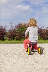 Kind auf Dreirad in Garten. Little child on tricycle in garden.