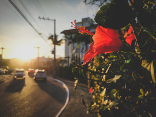 Praia dos Ingleses Florianopolis SC