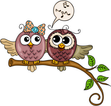 Cute couple of owls singing