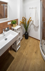 Shower room and bathroom in a modern apartment. Shower room in the studio apartment. © Aleks Kend