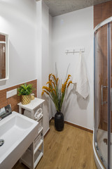 Shower room and bathroom in a modern apartment. Shower room in the studio apartment.