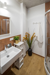 Shower room and bathroom in a modern apartment. Shower room in the studio apartment. © Aleks Kend