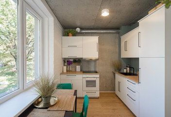 The kitchen and dining room in a modern apartment. Kitchen area in studio apartments.
