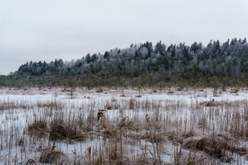 frozen country side by the forest covered in snow
