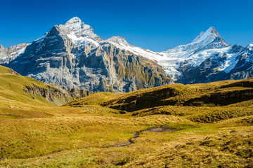 Gorgeous landscapes during the famous hiking trail from First to Grindelwald (Bernese Alps, Switzerland). You can have great views on Eiger, Monch and Jungfrau and the Bachalpsee along the way.