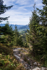 Fototapeta na wymiar Hiking trail in Switzerland (mountains)