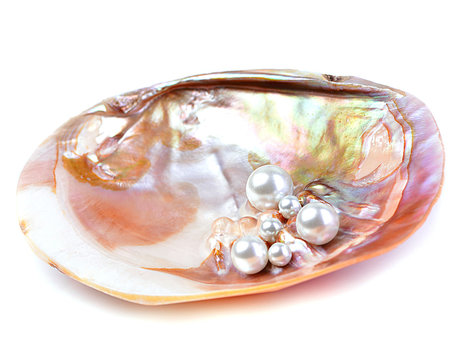 Natural pearls inside the oyster shell