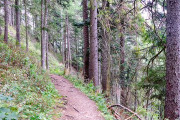 hiking trail in tatra mountains in Slovakia
