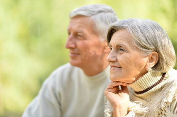 Happy senior couple in autumn park hugging 