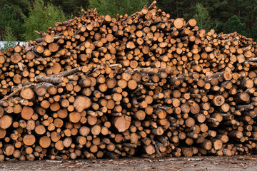 Stock of timber