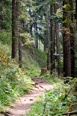 hiking trail in tatra mountains in Slovakia
