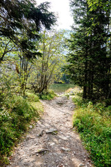 hiking trail in tatra mountains in Slovakia