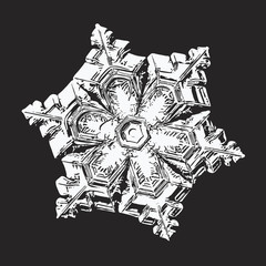 White snowflake on black background. This vector illustration based on macro photo of real snow crystal: elegant star plate with six short, ornate arms, relief surface and complex inner details.