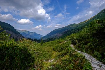 Fototapeta na wymiar hiking trail in tatra mountains in Slovakia